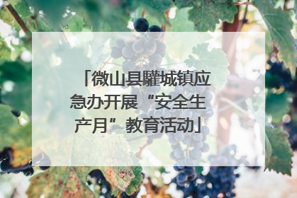 微山县驩城镇应急办开展“安全生产月”教育活动